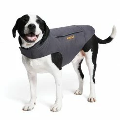 Horse Blankets & Stable Sheets Ariat Team DuraCanvas Insulated Dog Jacket