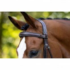 KL Select Hampton Bridle