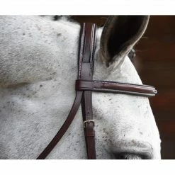 KL Select Italia Middleburg Hunter Bridle English Bridles