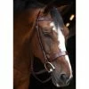 KL Select Italia Foxwell Hunt Bridle