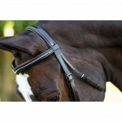 English Bridles KL Select Italia Pirouette Bridle