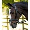 English Bridles KL Select Italia Pirouette Bridle 2 English Bridles KL Select Italia Pirouette Bridle