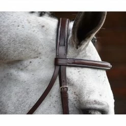 KL Select Italia Venezia Hunter Bridle English Bridles 7 KL Select Italia Venezia Hunter Bridle English Bridles