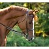 KL Select Italia Venezia Hunter Bridle English Bridles 1 KL Select Italia Venezia Hunter Bridle English Bridles