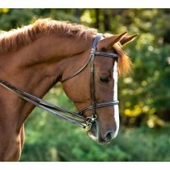 KL Select Italia Venezia Hunter Bridle English Bridles