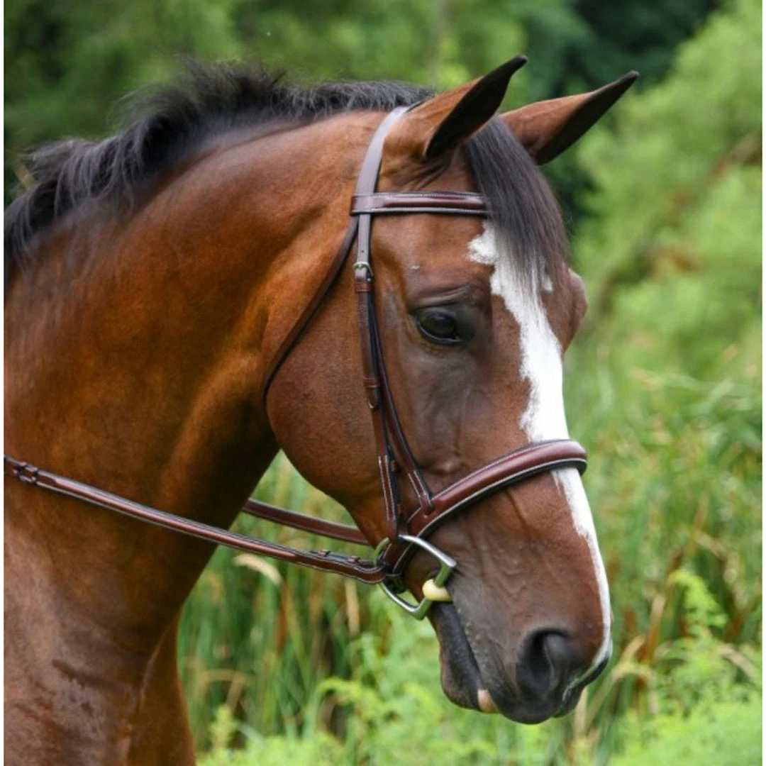 KL Select Italia Del Mar Hunter Bridle 3 KL Select Italia Del Mar Hunter Bridle