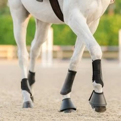 EquiFit Essential Everyday Hind Boot Horse Boots & Wraps