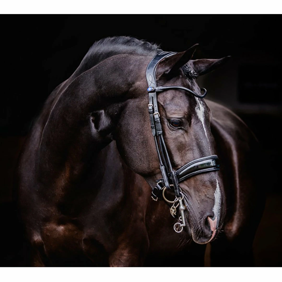 PS Of Sweden Passage Lacquered Double Bridle 4 PS Of Sweden Passage Lacquered Double Bridle