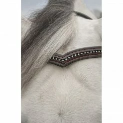 English Bridles KL Select Italia Pirouette Browband