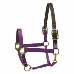 Perri's Leather Perri's Economy Safety Halter Halters & Leads