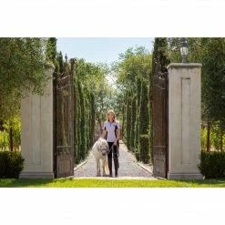 Show Shirts Goode Rider Ideal Show Shirt