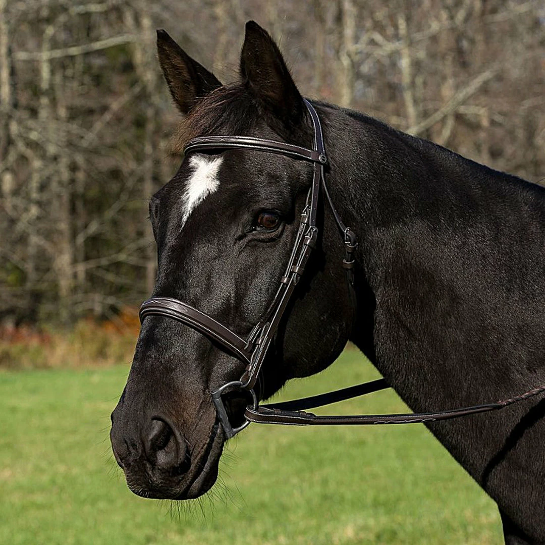 JPC Equestrian HDR Pro Mono Crown Bridle With Padded Wide Noseband With Laced Reins