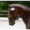 Red Barn By KL Select Arena Ergonomic Bridle 1 Red Barn By KL Select Arena Ergonomic Bridle