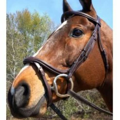Nunn Finer A Forma Di Shaped Bridle English Bridles 11 Nunn Finer A Forma Di Shaped Bridle English Bridles