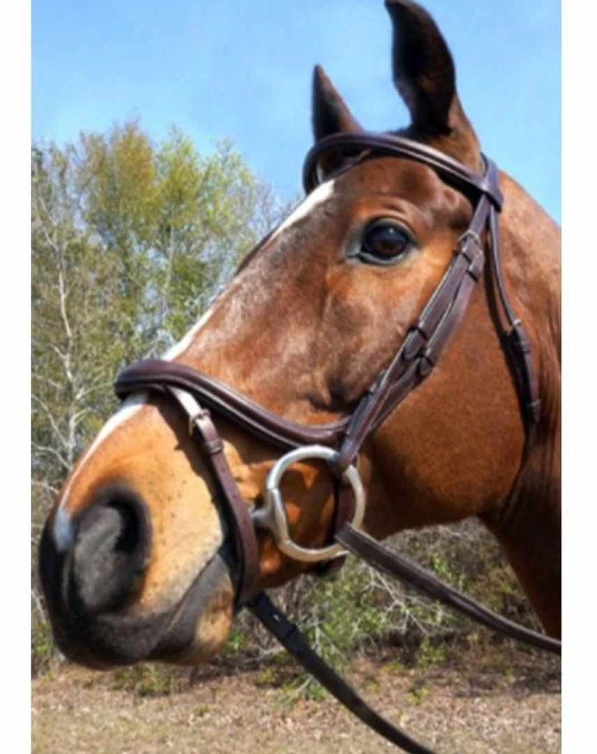 Nunn Finer A Forma Di Shaped Bridle English Bridles 7 Nunn Finer A Forma Di Shaped Bridle English Bridles