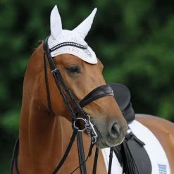 Passier Atlas Double Bridle English Bridles