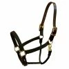 Halters & Leads Walsh Breakaway 1" Halter With Straight Chin
