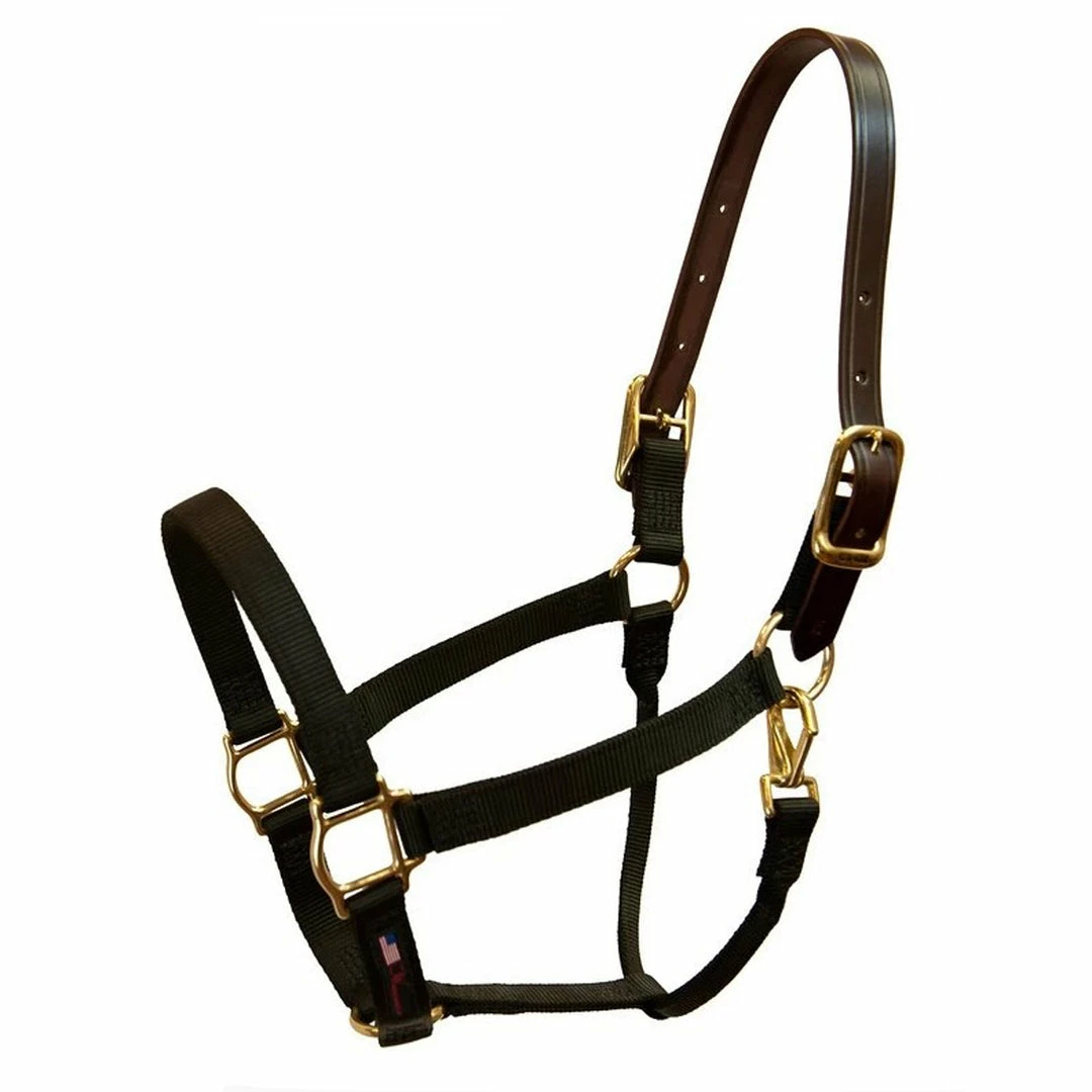 Halters & Leads Walsh Breakaway 1" Halter With Straight Chin 3 Halters & Leads Walsh Breakaway 1" Halter With Straight Chin