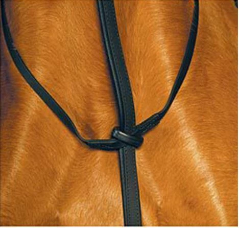 Saddlery Brands International Wintec Standing Martingale 5 Saddlery Brands International Wintec Standing Martingale