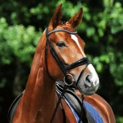 Passier Starlight Snaffle Bridle English Bridles 5 Passier Starlight Snaffle Bridle English Bridles