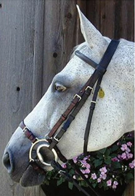 Nunn Finer Adjustable Lever Noseband English Bridles 3 Nunn Finer Adjustable Lever Noseband English Bridles