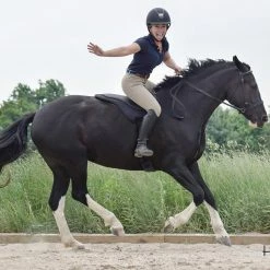ThinLine Trifecta Comfort Bareback Saddle Pad Saddle Pads & Fittings