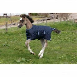 Horseware Amigo Ripstop Foal Turnout 200g Medium Horse Blankets & Stable Sheets