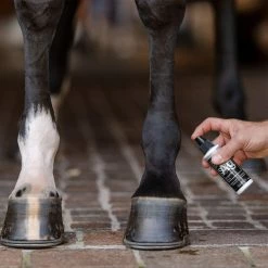 EquiFit AG Silver Wound Spray