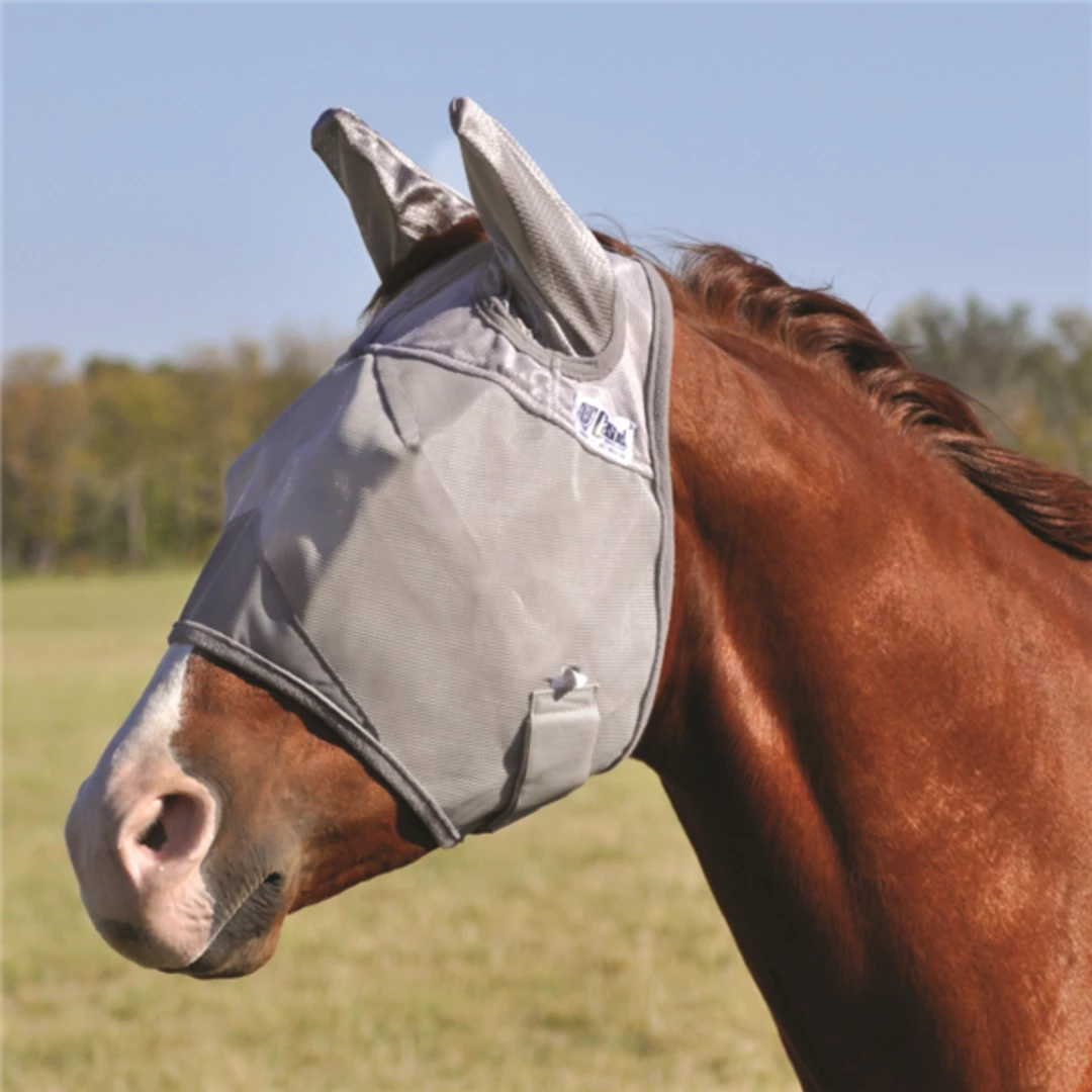 Cashel Crusader Standard Fly Mask 4 Cashel Crusader Standard Fly Mask