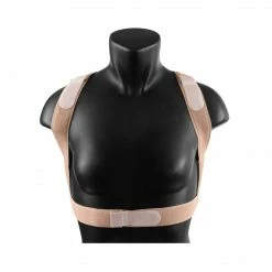 EquiFit ShouldersBack Lite Equestrian Accessories