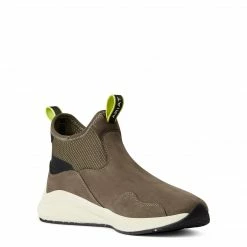 Riding Boots & Half Chaps Ariat Women's Ignite Chelsea Waterproof Boot