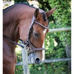 French Equestrian English Bridles Jump'in New York Bridle - One Collection