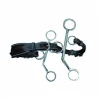 French Equestrian Jump' In Short Shank Leather Hackamore 2 French Equestrian Jump' In Short Shank Leather Hackamore