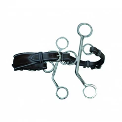 French Equestrian Jump' In Short Shank Leather Hackamore