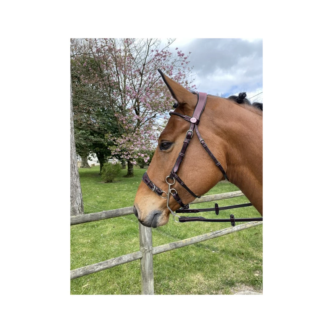 French Equestrian English Bridles Jump'in Hackamore Bridle - Week Collection 4 French Equestrian English Bridles Jump'in Hackamore Bridle - Week Collection