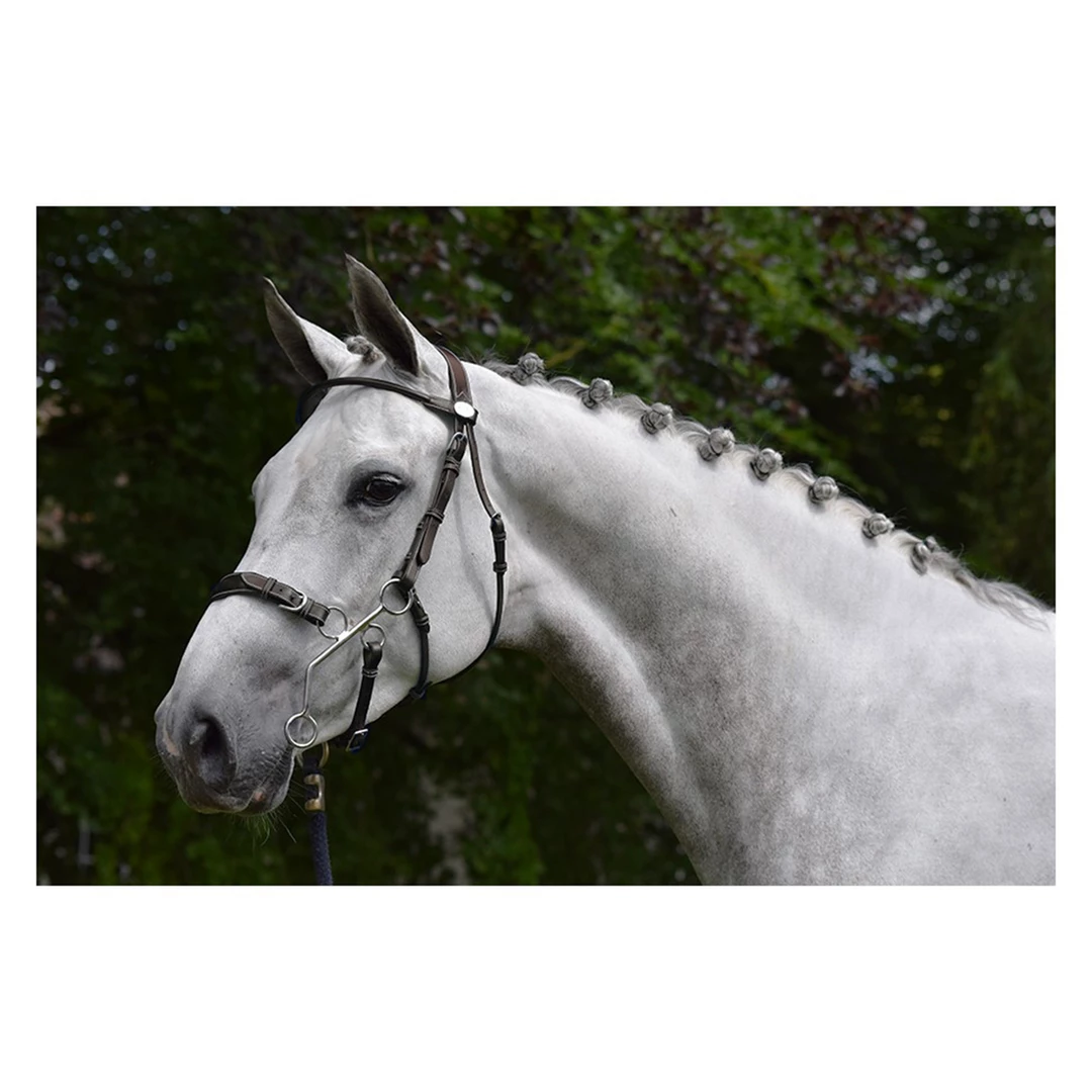 French Equestrian English Bridles Jump'in Hackamore Bridle - Week Collection 3 French Equestrian English Bridles Jump'in Hackamore Bridle - Week Collection