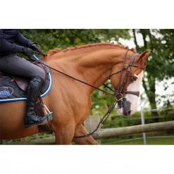 French Equestrian Horse Training Equipment Jump'in Patrick Training Aid