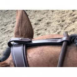French Equestrian Horse Training Equipment Jump'in Patrick Training Aid