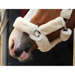 French Equestrian Jump' In Soft Halter - One Collection