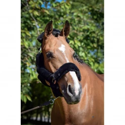 French Equestrian Jump' In Soft Halter - One Collection