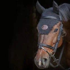 French Equestrian Jump'in Tuesday Bridle - Week Collection