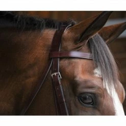 English Bridles Black Oak By KL Select Foxtrot Hunt Bridle