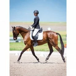 Kerrits Women's Crossover II Full Seat Breech 42 Kerrits Women's Crossover II Full Seat Breech