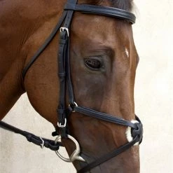 Nunn Finer Fair Hill Figure 8 Bridle