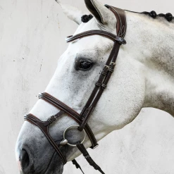 English Bridles PS Of Sweden Paris Bridle 7 English Bridles PS Of Sweden Paris Bridle