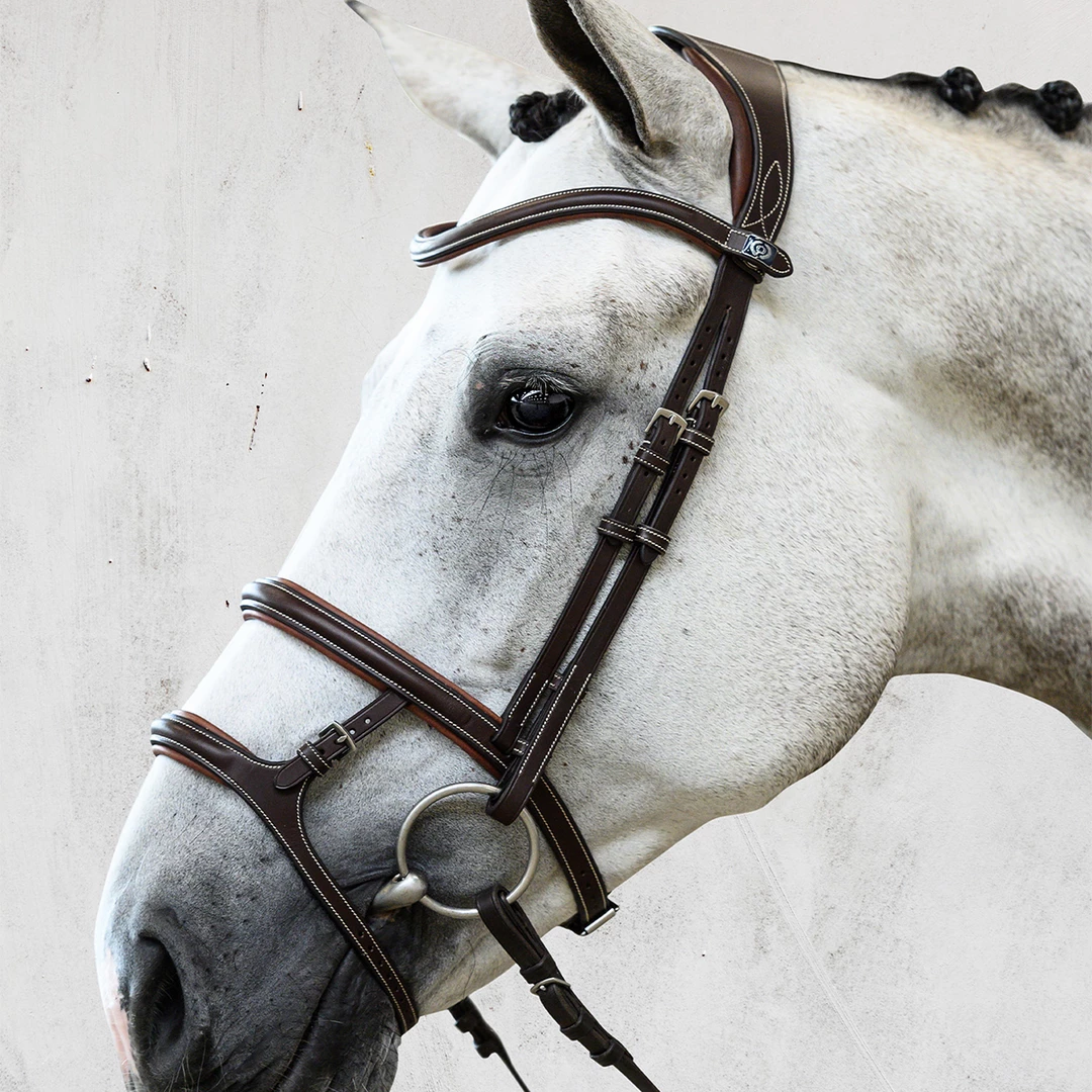 English Bridles PS Of Sweden Paris Bridle 5 English Bridles PS Of Sweden Paris Bridle