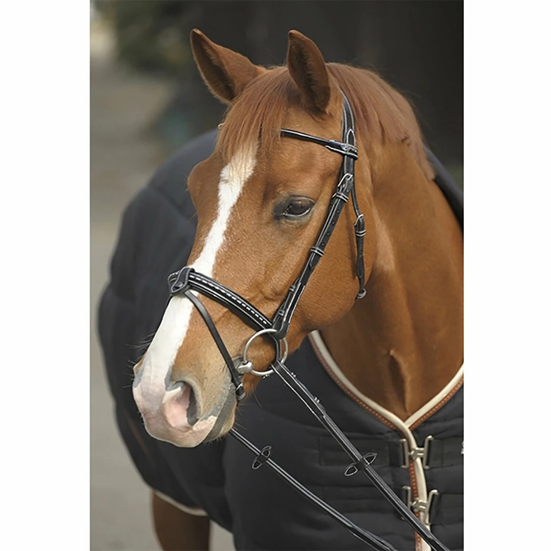 French Equestrian English Bridles Penelope Point Sellier Bridle 4 French Equestrian English Bridles Penelope Point Sellier Bridle