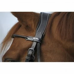 French Equestrian English Bridles Penelope Point Sellier Bridle 9 French Equestrian English Bridles Penelope Point Sellier Bridle