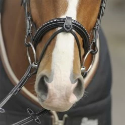 French Equestrian English Bridles Penelope Point Sellier Bridle 10 French Equestrian English Bridles Penelope Point Sellier Bridle