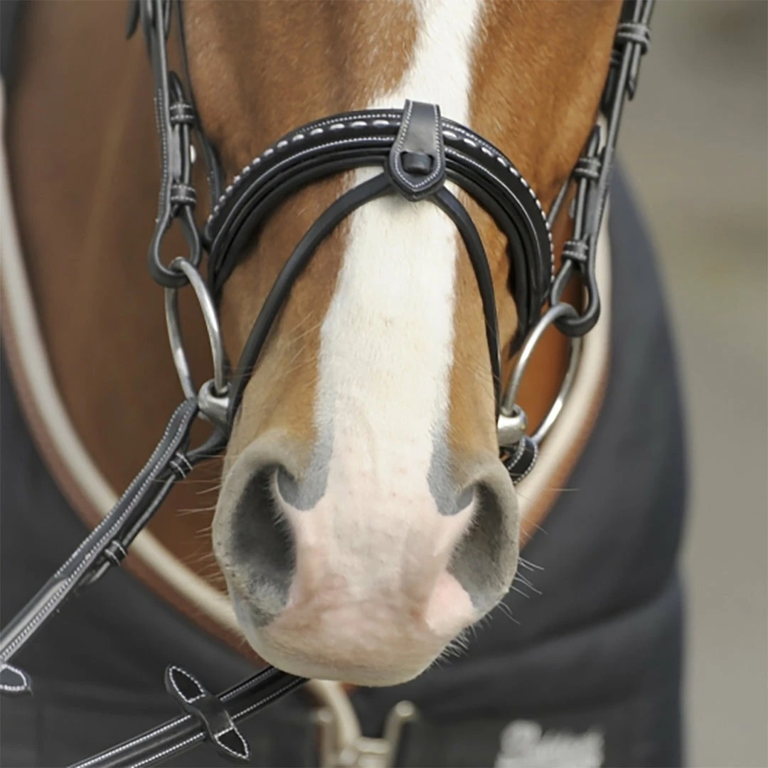 French Equestrian English Bridles Penelope Point Sellier Bridle 6 French Equestrian English Bridles Penelope Point Sellier Bridle